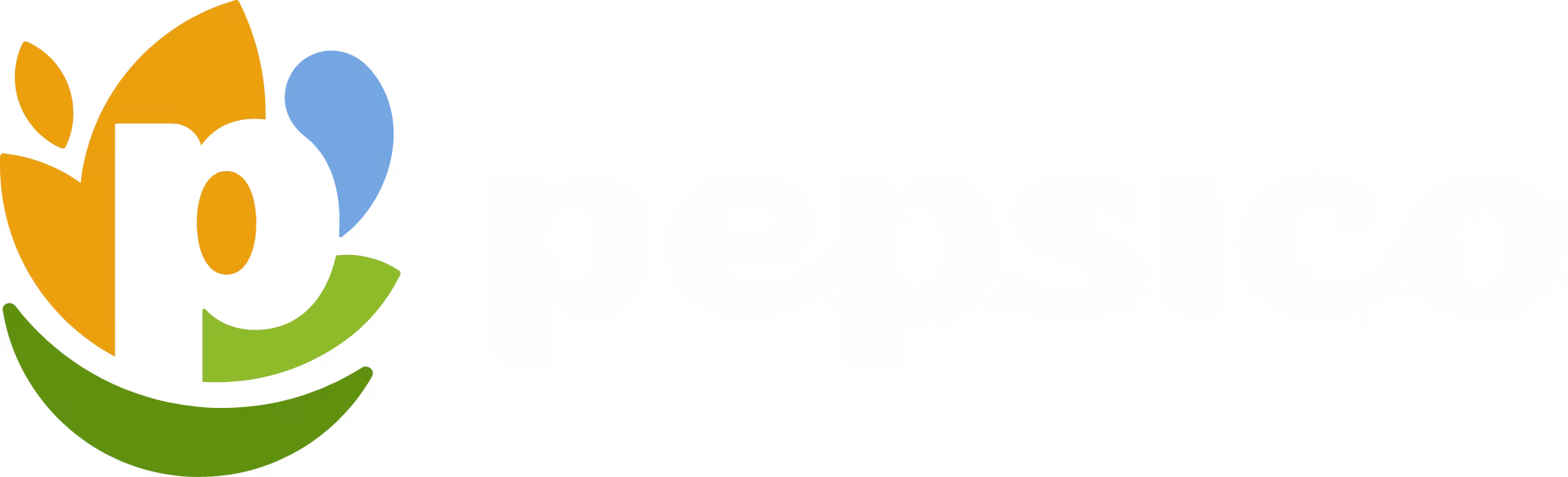 PepsiCo Logo